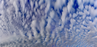 Tipping Points in the Climate System: How Close Are We to Irreversible Change?