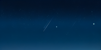 How Elon Musk’s Satellite Network is Transforming Global Connectivity