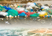 Ocean Pollution: Unraveling the Crisis Threatening Marine Ecology and Human Well-being