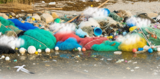 Ocean Pollution: Unraveling the Crisis Threatening Marine Ecology and Human Well-being